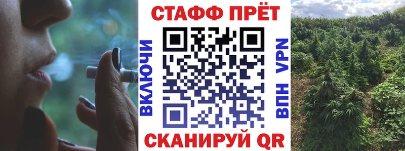 Где купить Динская Галлюциногенные грибы ссылка на мегу сайт APVP ГЕРОИН Гашиш Каннабис АМФ МЕФ Cocaine