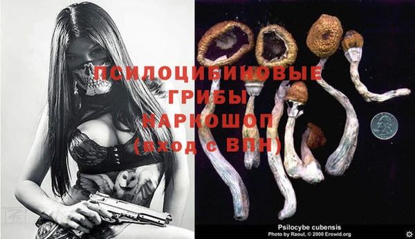 каннабис Алексеевка